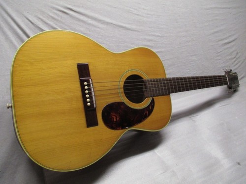 Hagstrom 11 folk steel - h,