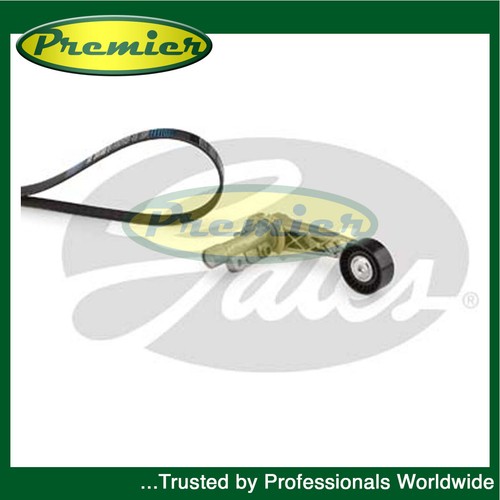 Premier alternator belt - belt, kit