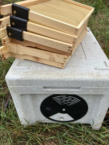 Paynes bee hive - paynes, 6