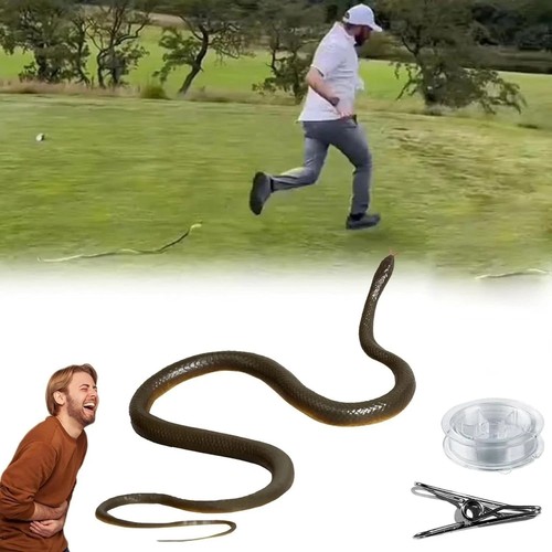 Fake rubber snake prank - prank, toy