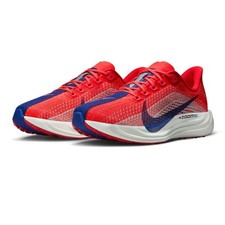 Nike Zoom x Pegaus Plus