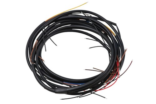 Wiring harness for bmw r24 - harness,