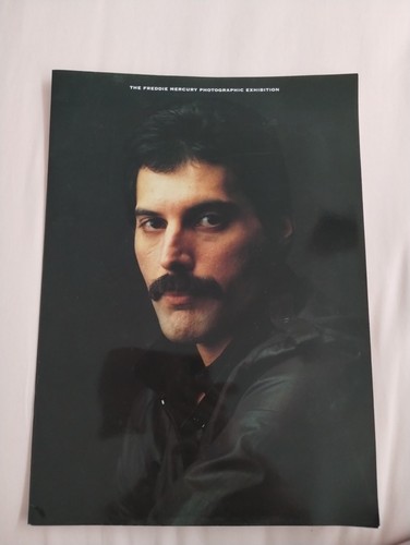 The freddie mercury - the,