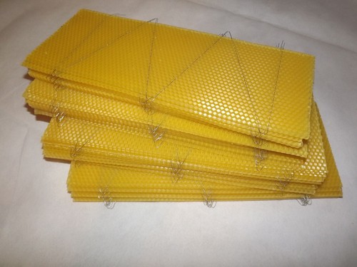Wired super foundation - 40,