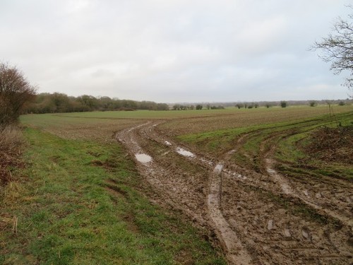 Photo 6x4 great - 6x4, wildcroft
