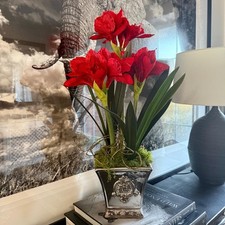 New Stunning 3 Stem Red