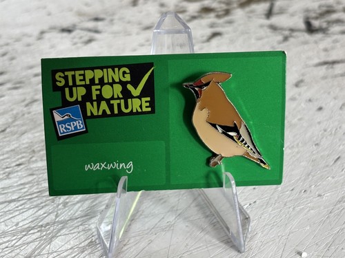 Rspb waxwing sufn backing - on,