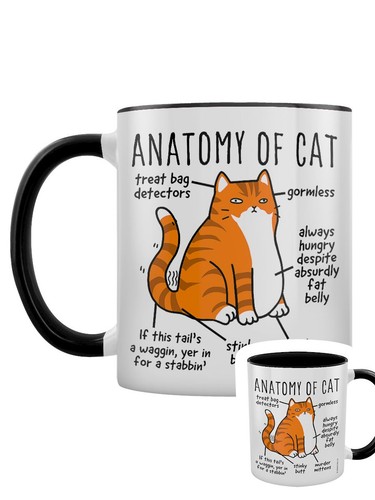Anatomy cat black inner - anatomy,