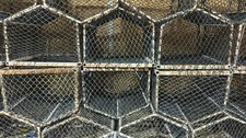 Lobster crates - lobster,