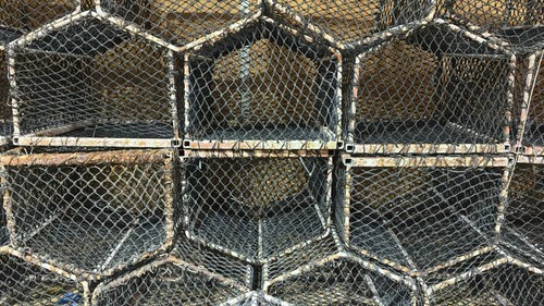 Lobster crates - lobster,