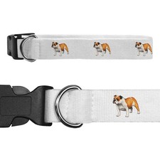 'English Bulldog' Dog Collars (PR020581)