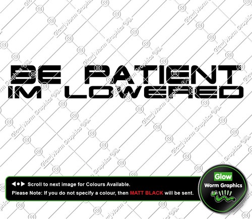 Patient lowered car van - patient,