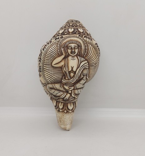 Milarepa ritual conch shell - conch,