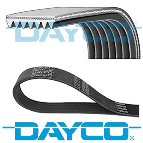 Dayco ribbed belt ribs - dayco,