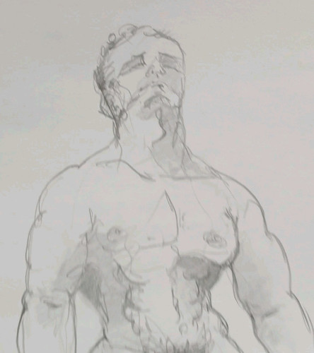 Pencil male nude life - , drawing