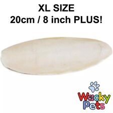 XL Cuttlefish Bone / Cuttle Fish for Parrots etc x 1 Approx 8"+ / 20cm+ UK