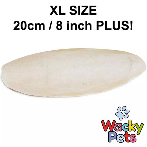 Cuttlefish bone cuttle - xl,