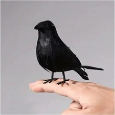 Realistic Black Crow Halloween