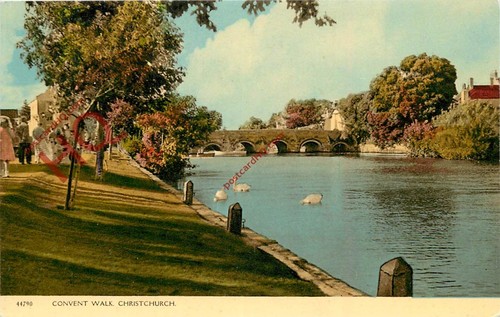 Picture postcard - picture,