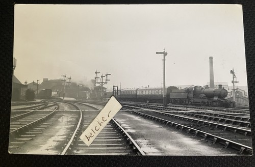 Gwr worcester shrub - worcester,
