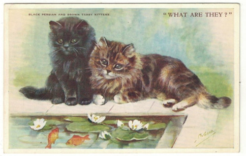 Artist drawn postcard m - artist,