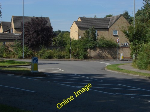 Photo 6x4 new forest - photo,