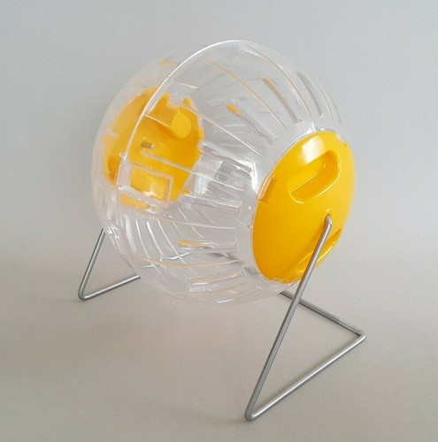 Hamster mouse running ball - hamster, on