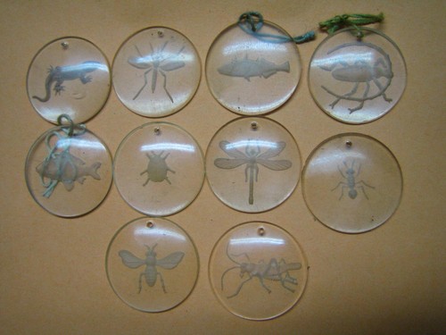 Whw rss animals - animals, the