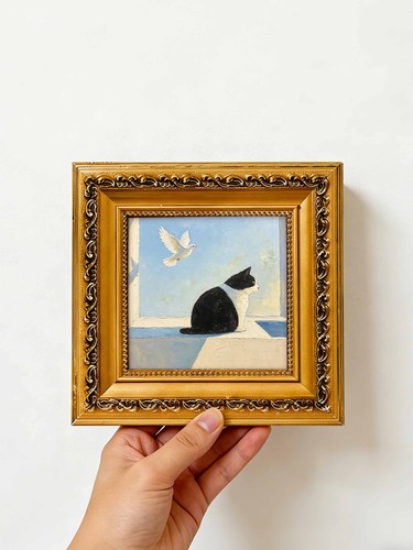 Cat windowsill flying white - cat,