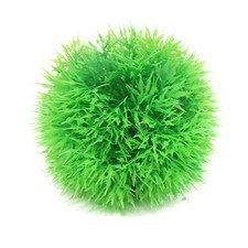 Betta choice 9cm diameter - betta,