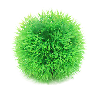 Betta choice 9cm - diameter, moss