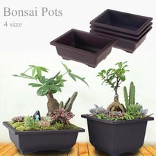 Retro Plastic Bonsai Training