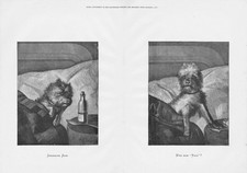 TERRIER DOG Shamming Sick and Who Said Rats - Antique Print 1876