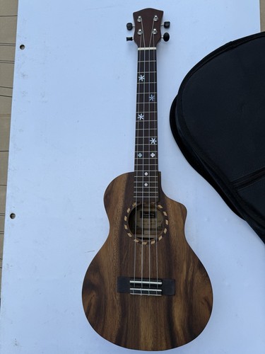 Bruce wei concert - wei, ukelele