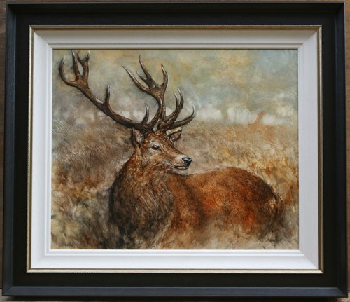 Gary benfield forest stag - gary, benfield,