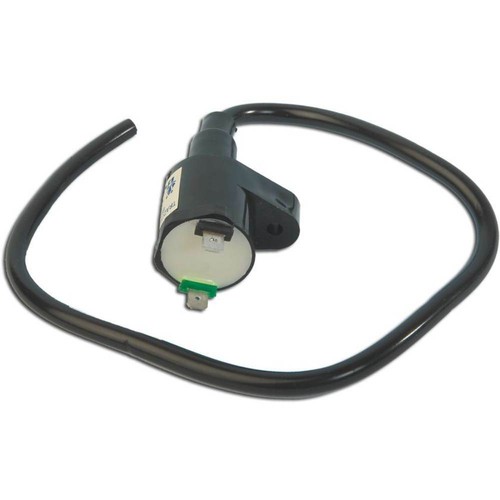 Adaptable coil aprilia - adaptable,