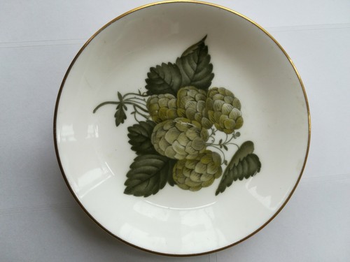 The worcester hop - worcester, royal