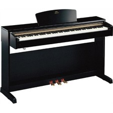 Yamaha Arius Ydp C71PE Digital