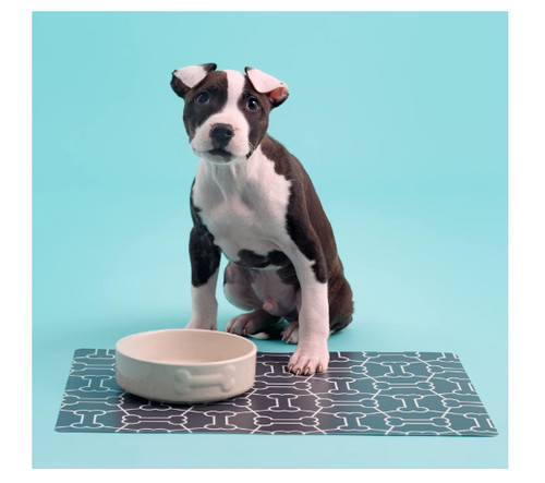 Stoneware dog bowl - dog, 15cm