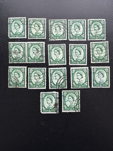 Qeii wilding green - qeii,