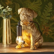 Gold Pug Puppy Dog Animal Pet