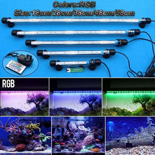 Submersible led light - led, lamp