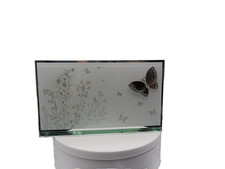 New Mirrored 3D Butterfly