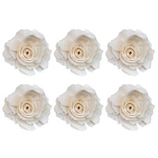 6pcs Diffusers Natural