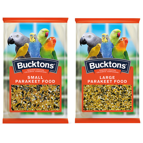 Bucktons parakeet small - parakeet,