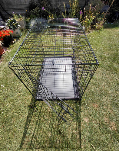 Folding metal dog crate - folding,
