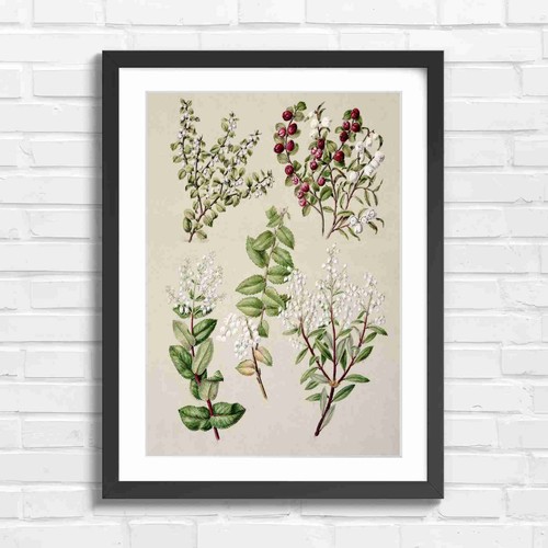Botanical bells and berries - bells,