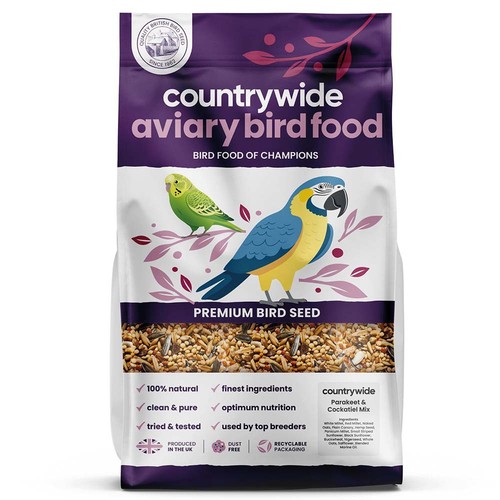 Countrywide special budgie - special,
