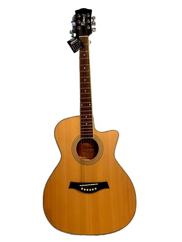 Richwood brand new - rg-16-ce,