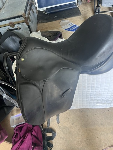 Ideal jessica dressage - 17.5,
